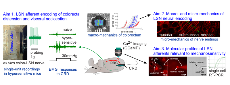 EPViz - Neural Systems Analysis LaboratoryNeural Systems Analysis Laboratory